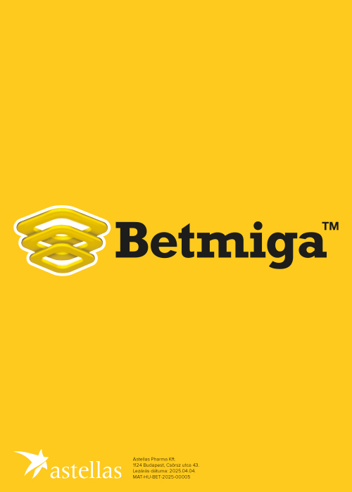 Betmigda 500x700
